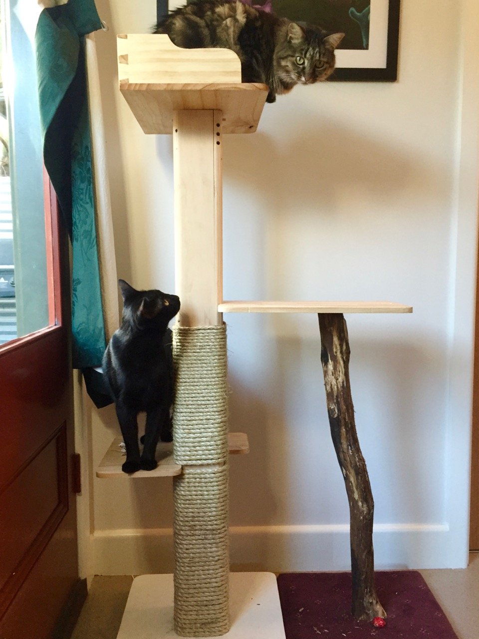 cat tree